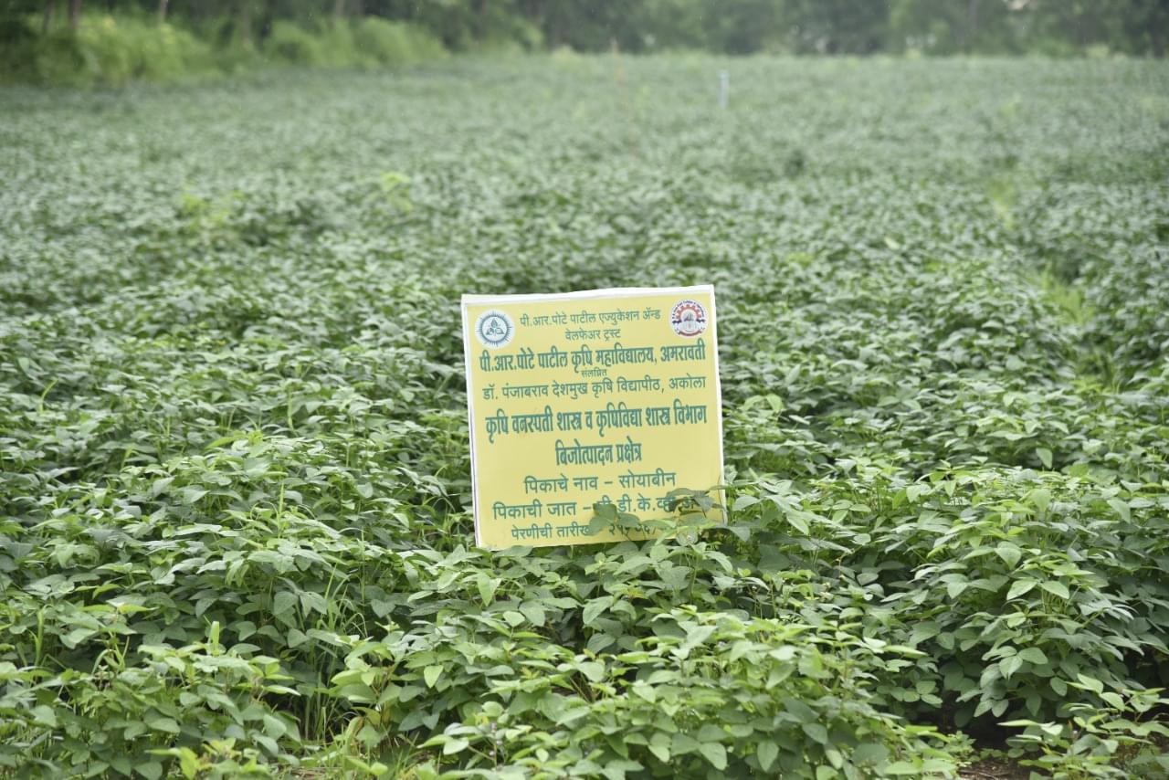 P. R. Pote Patil College of Agriculture Amravati Campus photo 3